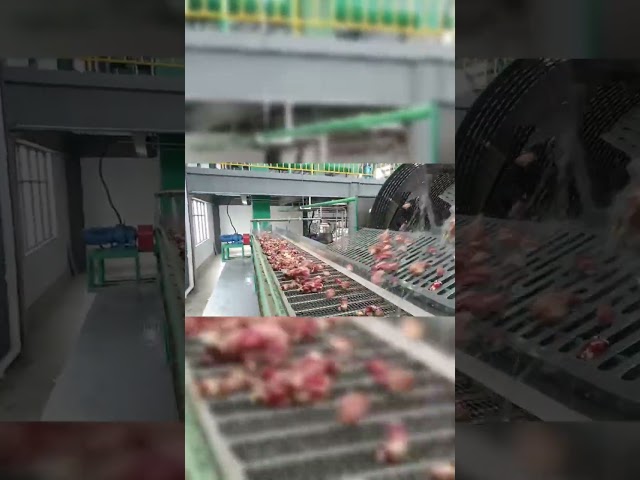中国 電気アルコール生産設備のカッサバ澱粉のかいクリーニング機械 販売
