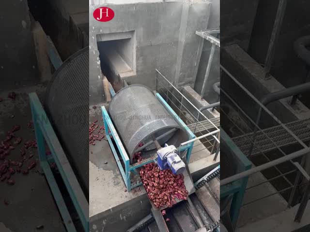 中国 PLC制御 サツマイモデンプン加工機 クリーニング、製粉、包装、加工タイプ 工業用途向け 販売